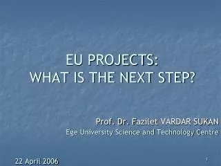 EU P ROJECTS : W HAT IS THE NEXT STEP ?