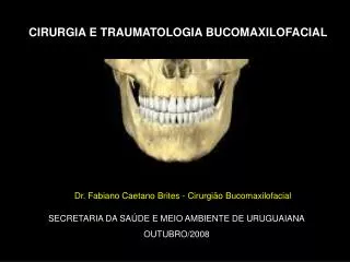 SECRETARIA DA SAÚDE E MEIO AMBIENTE DE URUGUAIANA OUTUBRO/2008