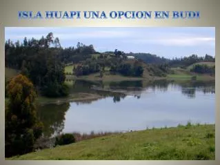isla huapi una opcion en budi