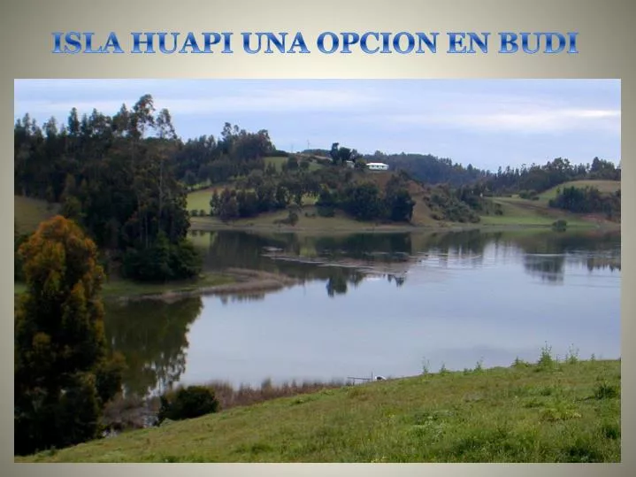 isla huapi una opcion en budi