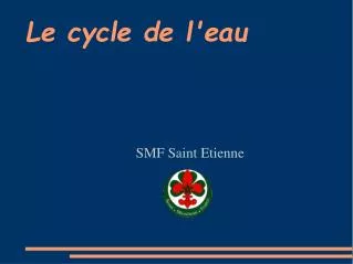 smf saint etienne