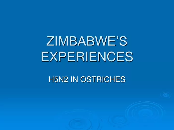 zimbabwe s experiences
