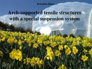 Arch-supported tensile structures with a special suspension system