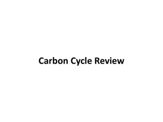 Carbon Cycle Review