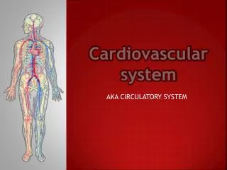 Cardiovascular system