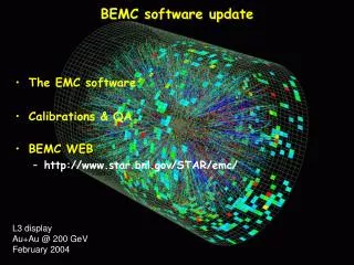 BEMC software update