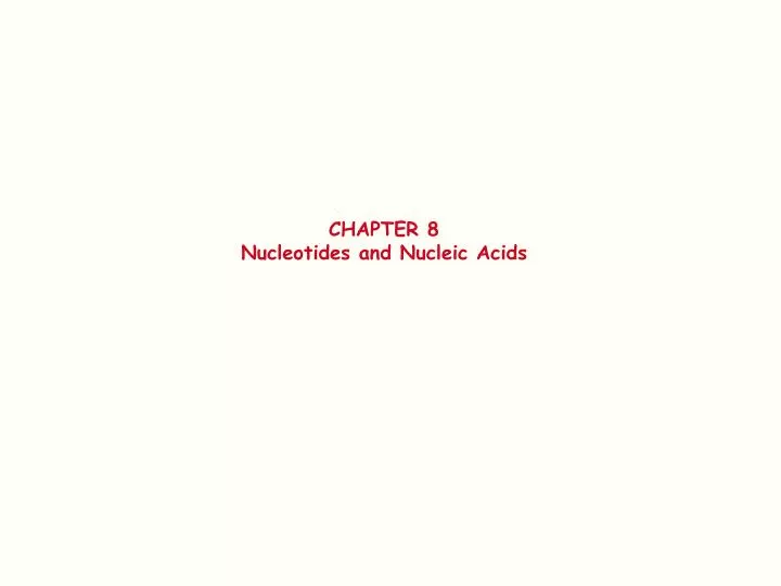 PPT - CHAPTER 8 Nucleotides And Nucleic Acids PowerPoint Presentation ...