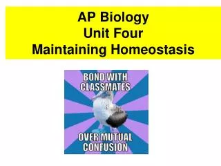 AP Biology Unit Four Maintaining Homeostasis