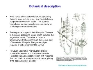 btny.purdue/weedscience/