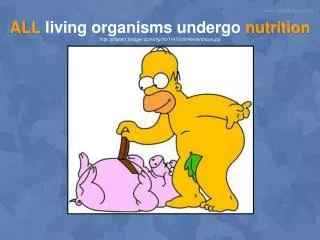 ALL living organisms undergo nutrition photos1.blogger/img/30/1147/320/HomerBacon.jpg