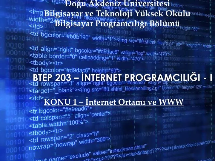 btep 203 nternet programcili i i