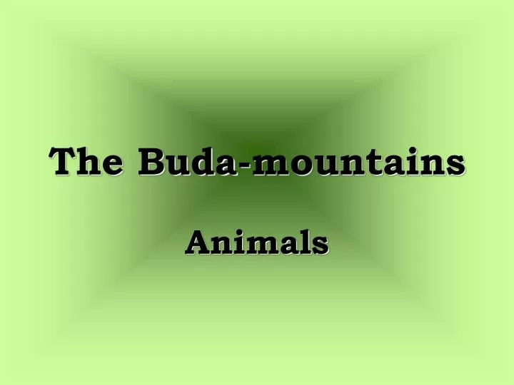 the buda mountains