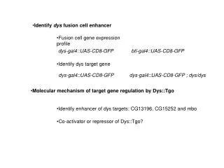 Fusion cell gene expression profile