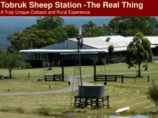 Tobruk Sheep Station -The Real Thing A Truly Unique Outback and Rural Experience