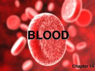 blood