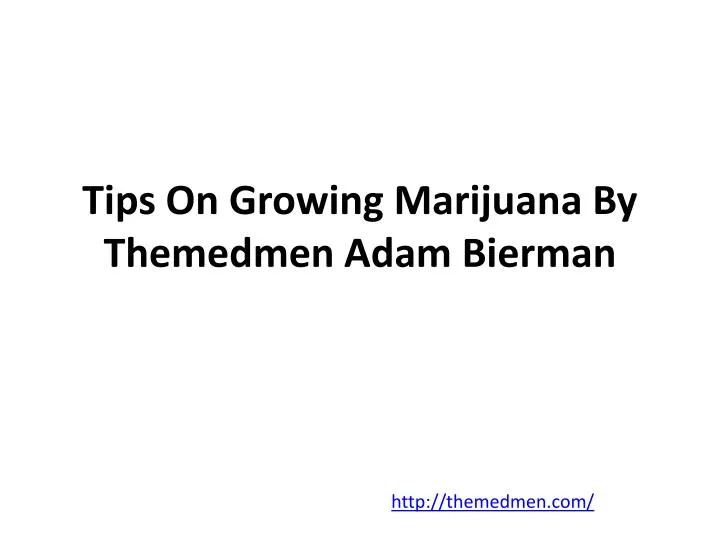 tips on growing marijuana by themedmen adam bierman
