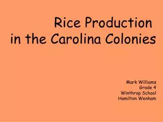 Rice Production in the Carolina Colonies Mark Williams Grade 4 Winthrop School Hamilton Wenham