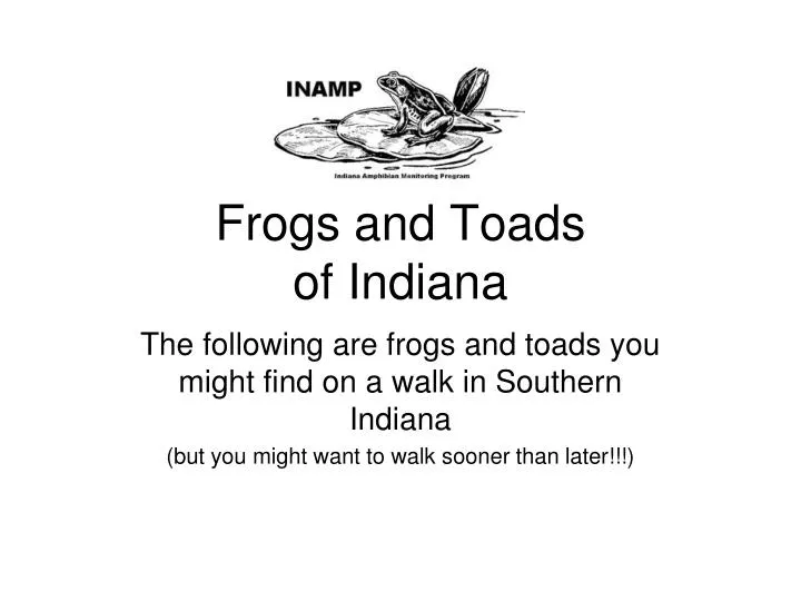 frogs and toads of indiana