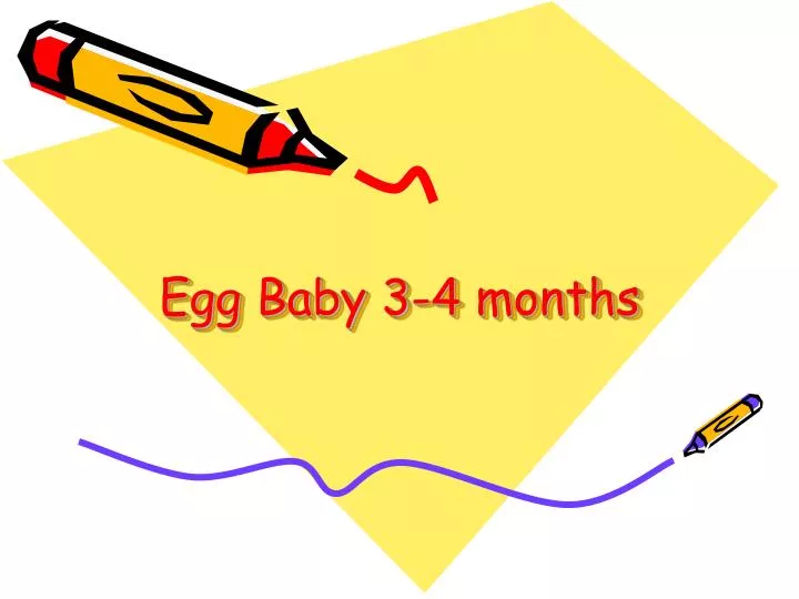 egg baby 3 4 months
