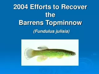 2004 Efforts to Recover the Barrens Topminnow (Fundulus julisia)