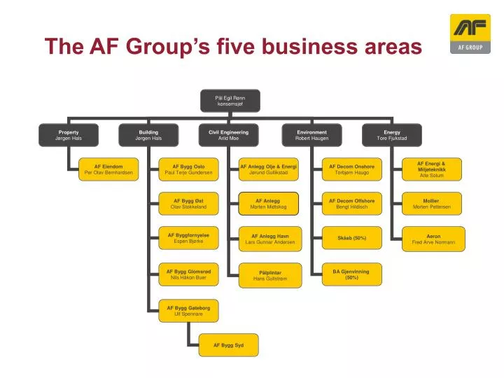 the af group s five business areas