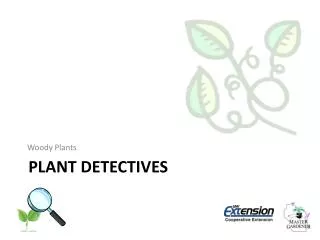 Plant Detectives