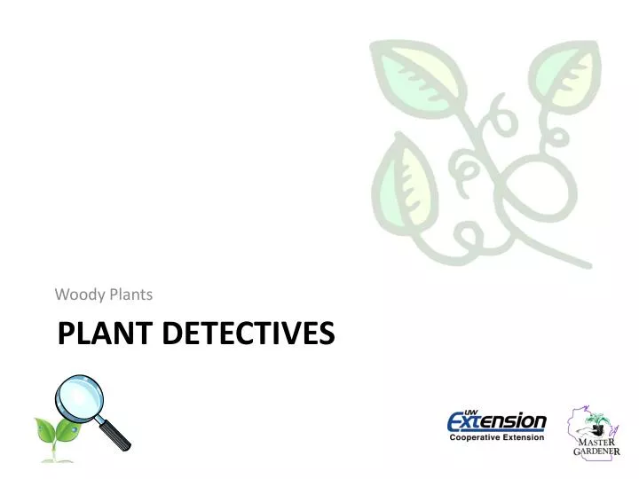 plant detectives