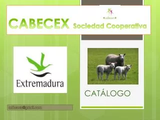 cabecex sociedad cooperativa