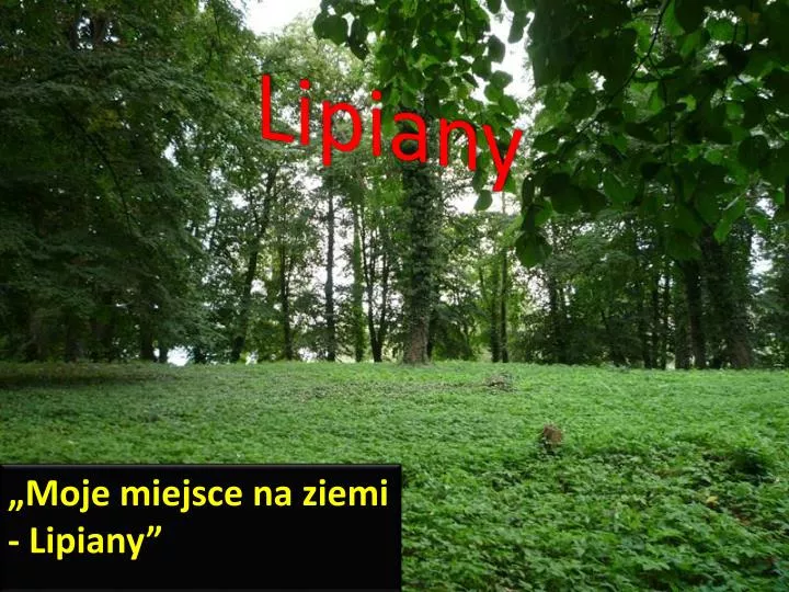 lipiany