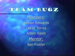 Team Bugz