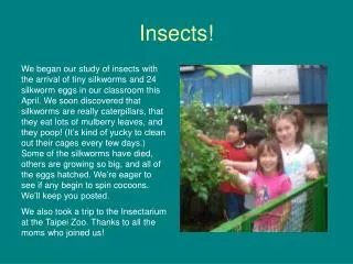 Insects!
