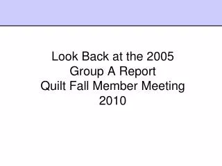 Look Back at the 2005 Group A Report Quilt Fall Member Meeting 2010