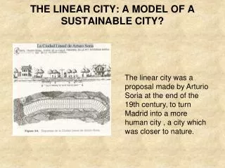 THE LINEAR CITY: A MODEL OF A SUSTAINABLE CITY?