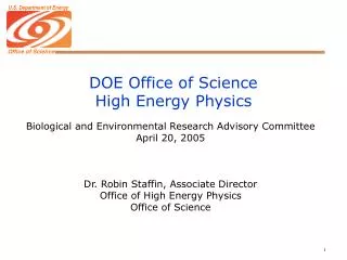 DOE Office of Science High Energy Physics
