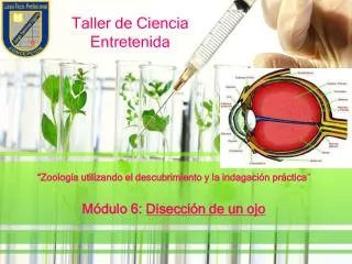 taller de ciencia entretenida