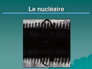 le nucl aire