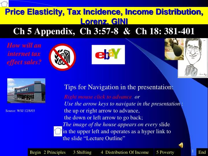 price elasticity tax incidence income distribution lorenz gini