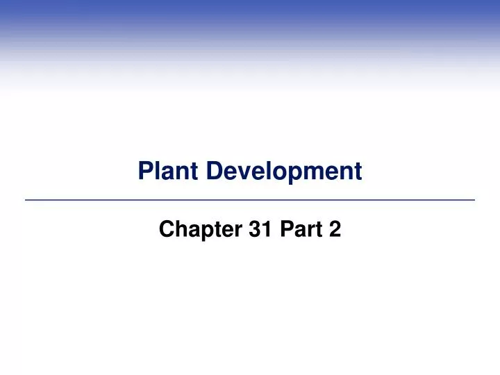 plant development