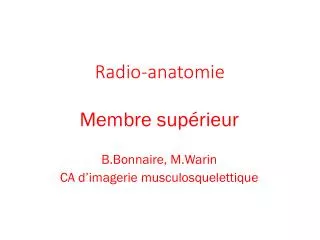 radio anatomie