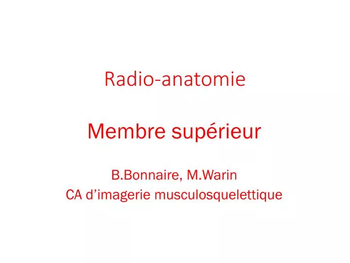 radio anatomie