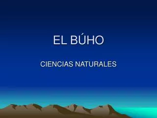 el b ho