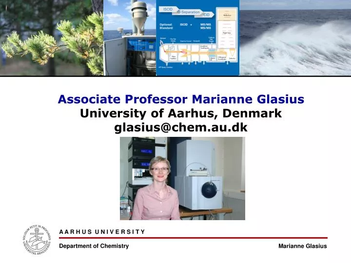 associate professor marianne glasius university of aarhus denmark glasius@chem au dk