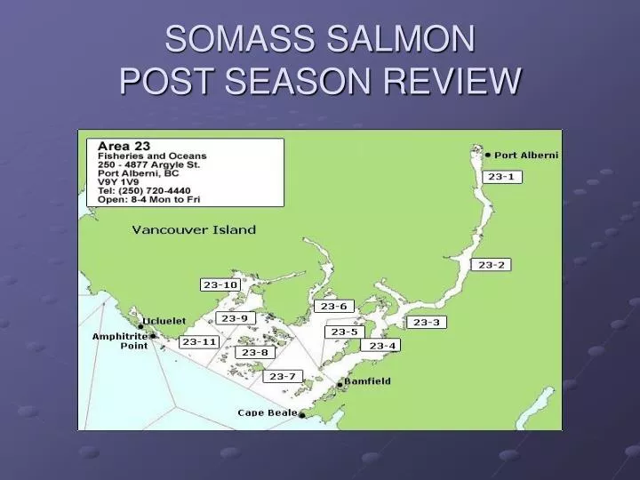 somass salmon post season review
