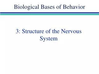 3: Structure of the Nervous System