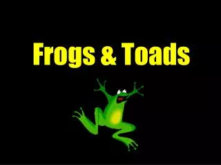 Frogs &amp; Toads
