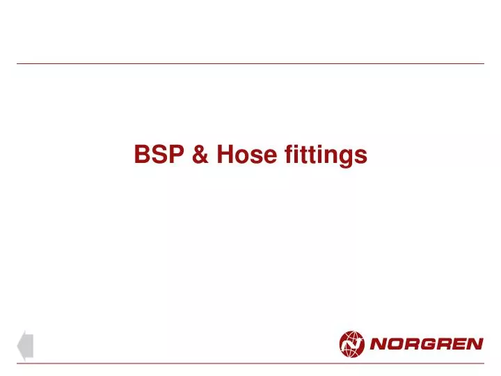 bsp hose fittings