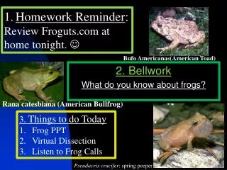 2. Bellwork What do you know about frogs?
