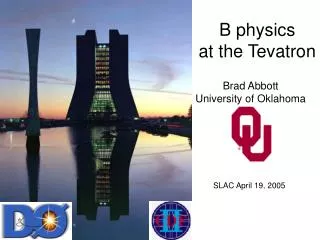 B physics at the Tevatron