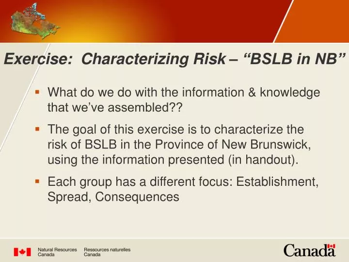 exercise characterizing risk bslb in nb