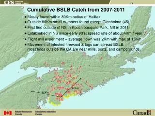 Cumulative BSLB Catch from 2007-2011